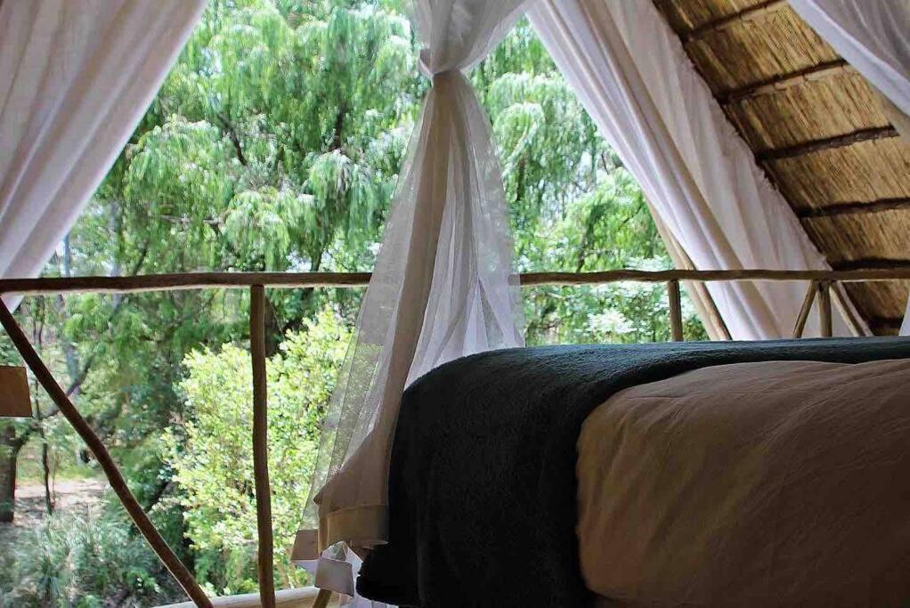 Hot Spring Bungalow In Limpopo Gemsbokfontein Eksteriør bilde