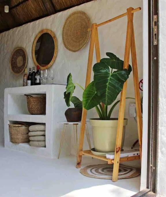 Hot Spring Bungalow In Limpopo Gemsbokfontein Eksteriør bilde
